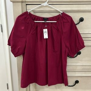 Ann Taylor S short